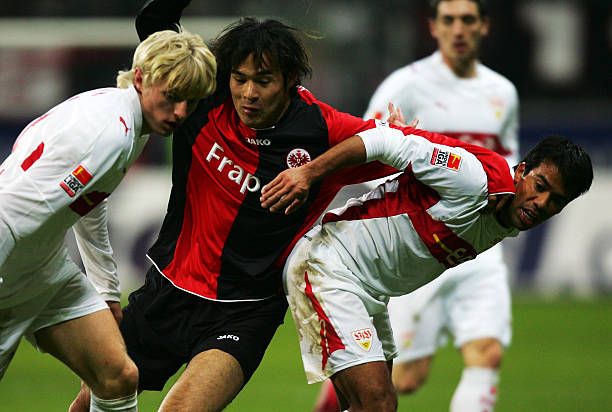 法稳定提升 法稳定提升